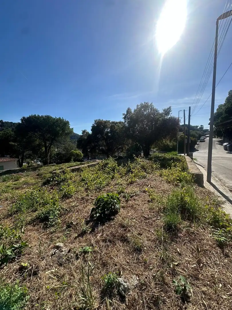 Terrains et parcelles à vendre à DE LA GRALLA, imagen 3