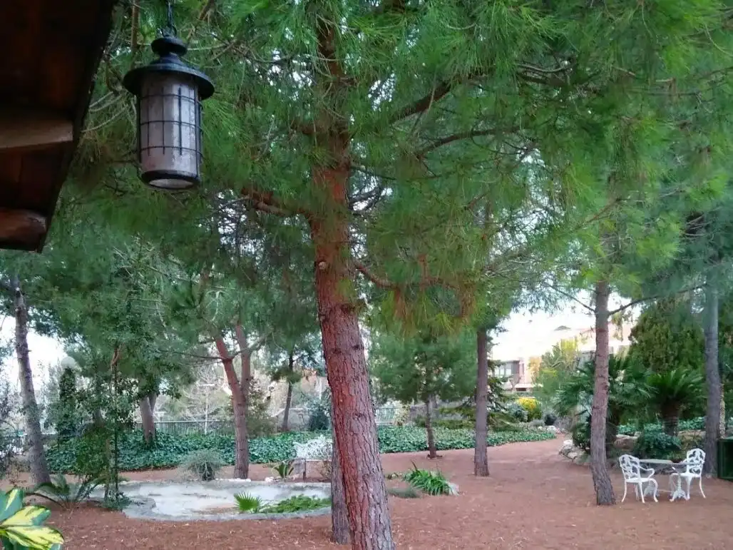 Chalet con jardín en venta en Dels pins 2, imagen 8