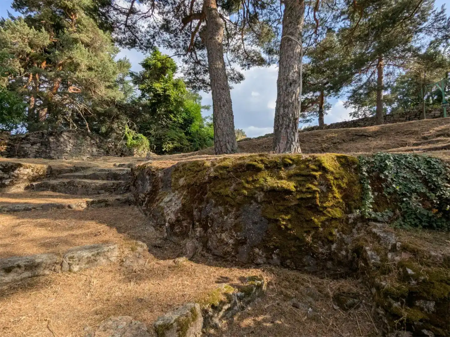 Jardí de Casa o xalet en venda en El Espinar amb Balcó