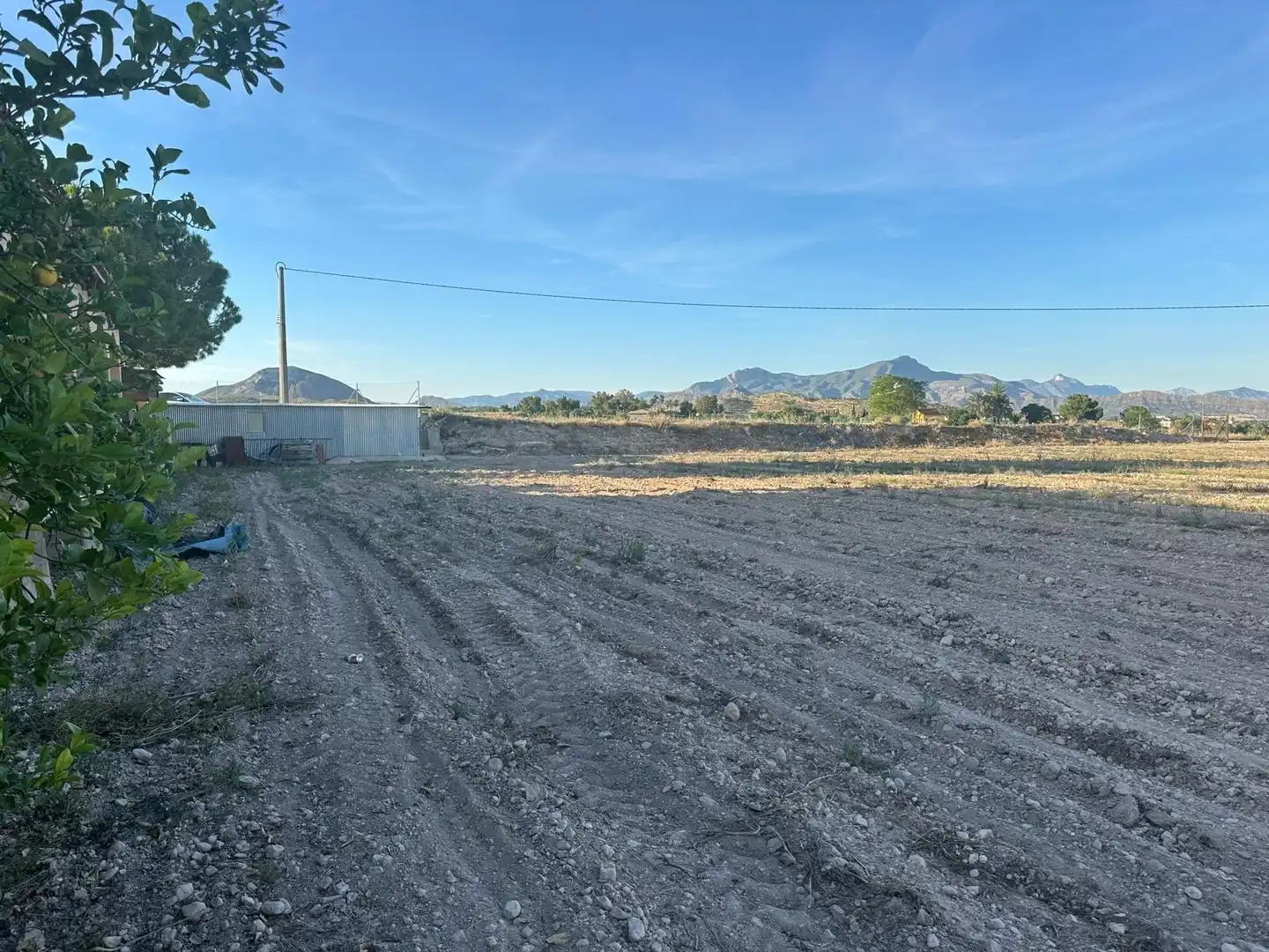 Chalet con jardín en venta en Novelda, imagen 16