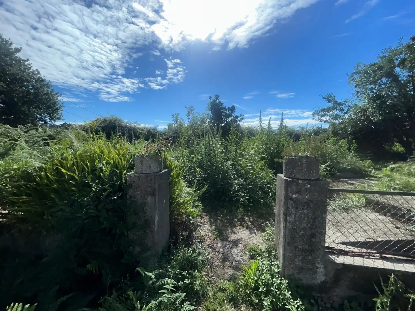 Casa o xalet en venda en Ribeira amb Jardí privat