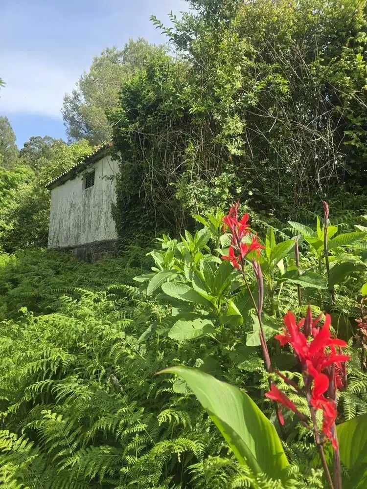 Casa rústica amb jardí en venda a Moeche, imagen 28