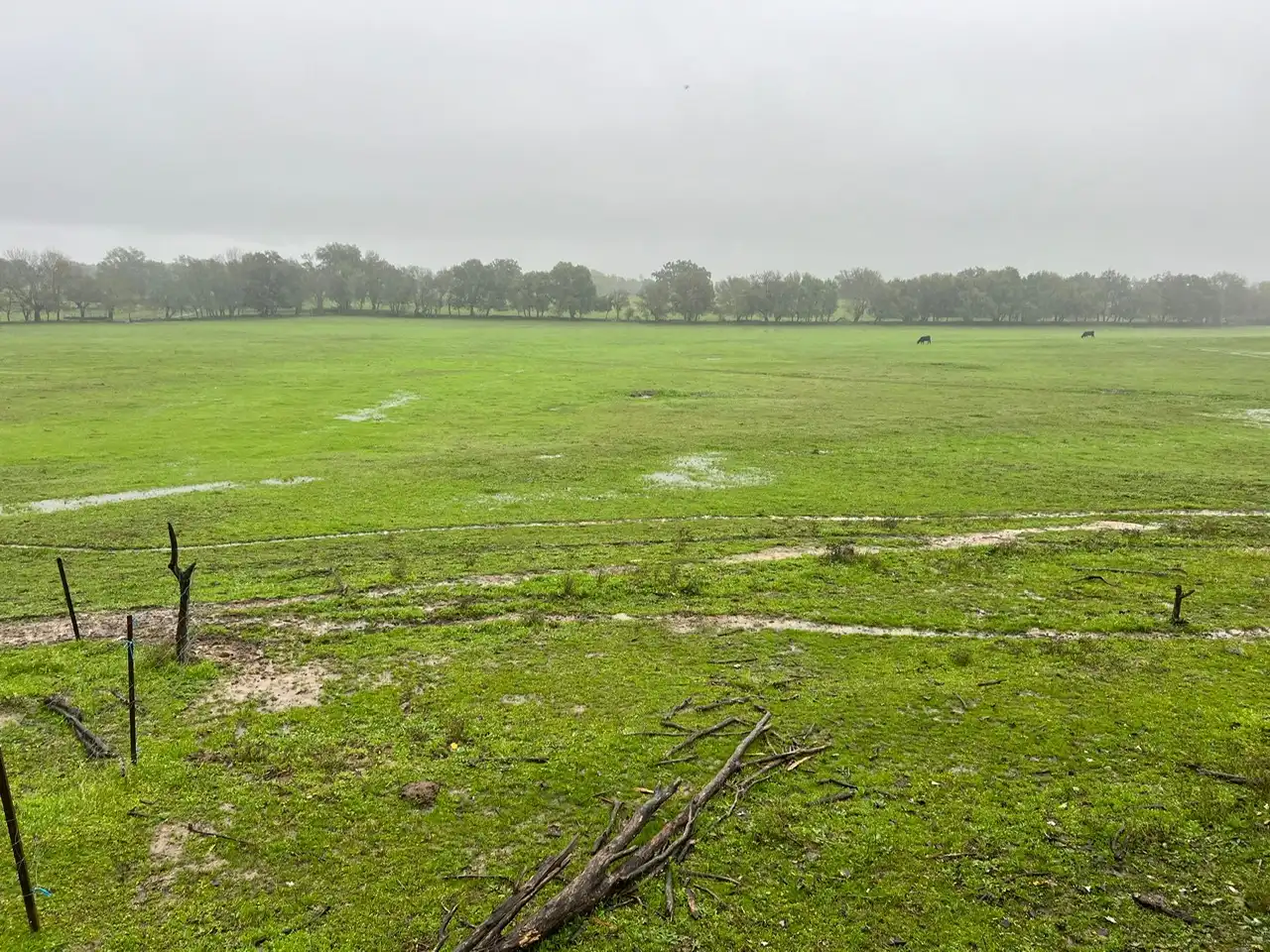 Grundstücke zum Verkauf in Lanzahíta