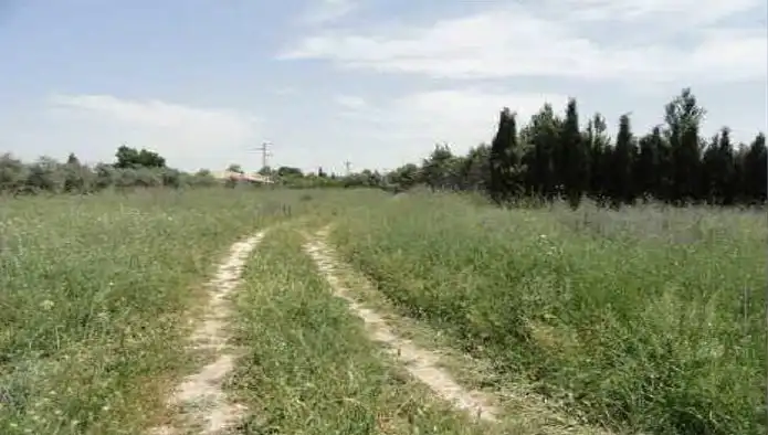 Terrenos y solares en venta en C/ Acacias, imagen 8