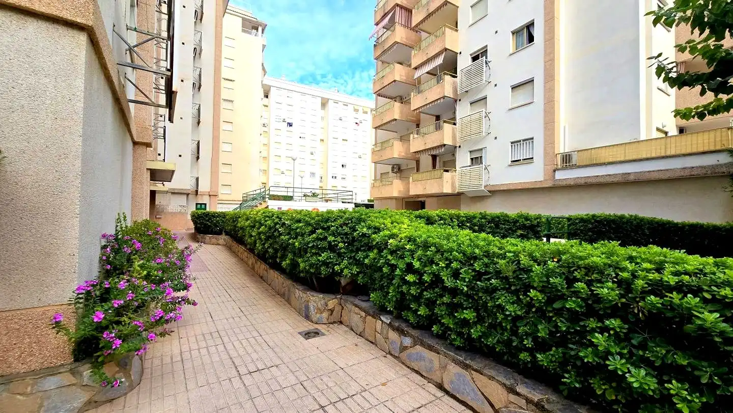 Apartament amb piscina de lloguer a Plaza Rosa de los Vientos 20, imagen 48