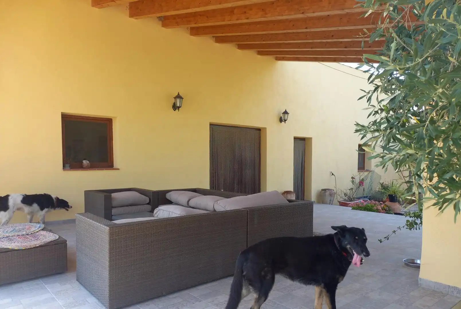 Terraza de Finca rústica en venta en Rasquera