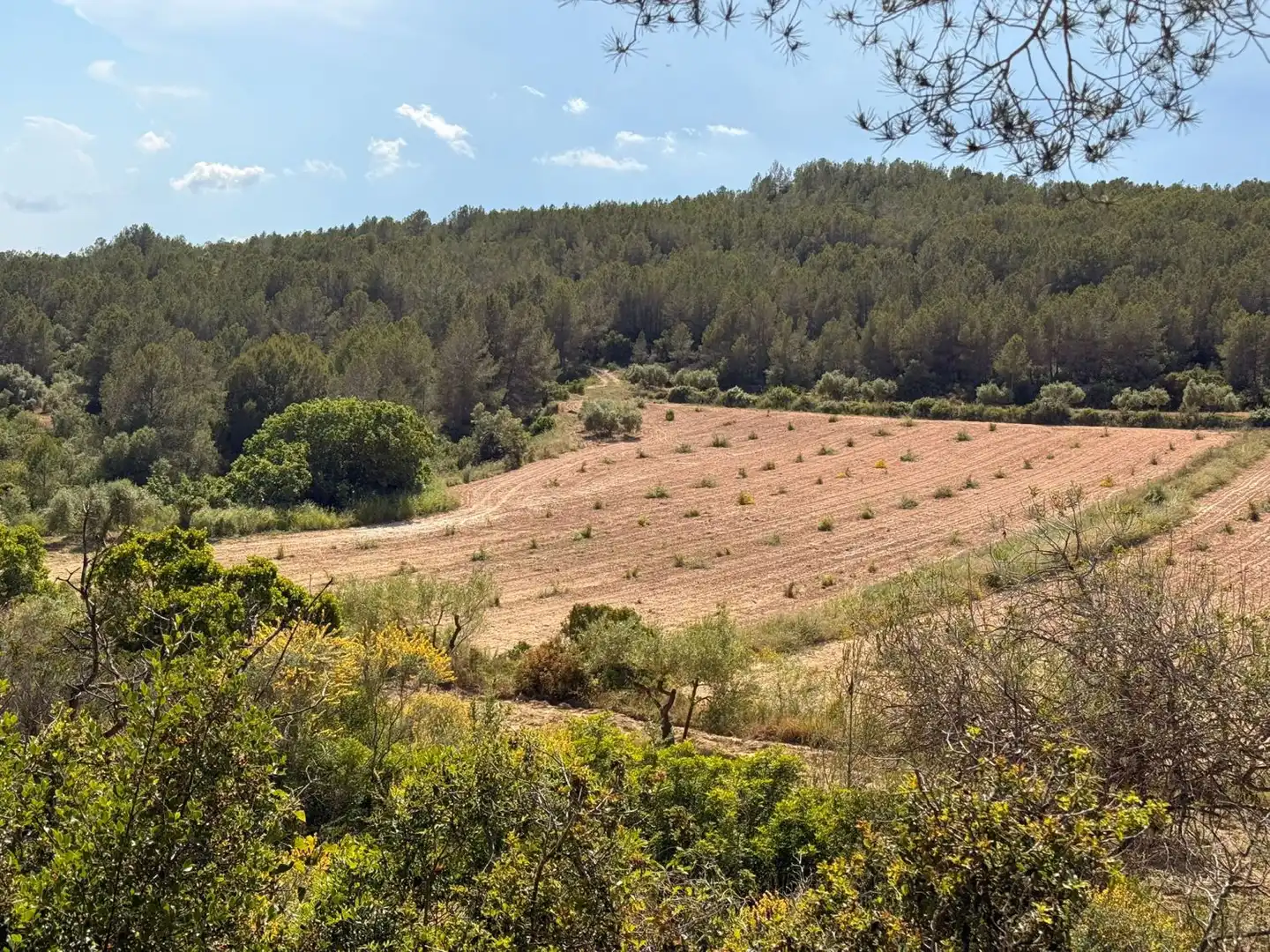 Finca rústica en venda a Vespella de Gaià