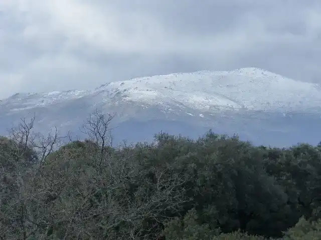 Vista exterior de Finca rústica en venda en Villasbuenas de Gata amb Aire condicionat, Traster i Piscina