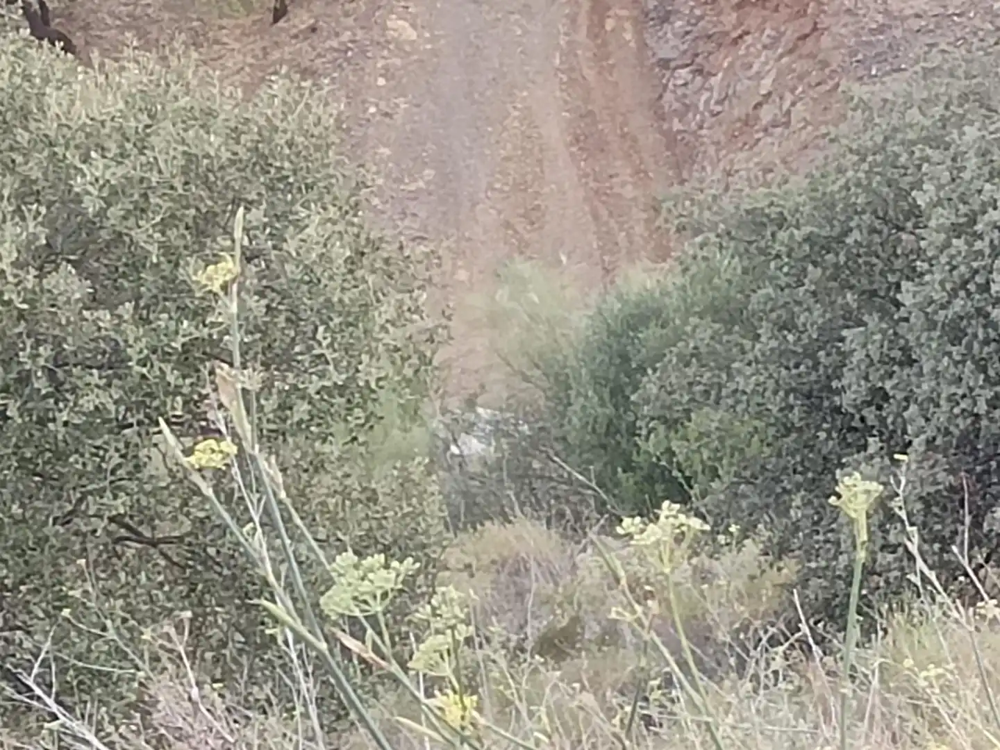 Terreni e lotti in vendita a Este, imagen 43