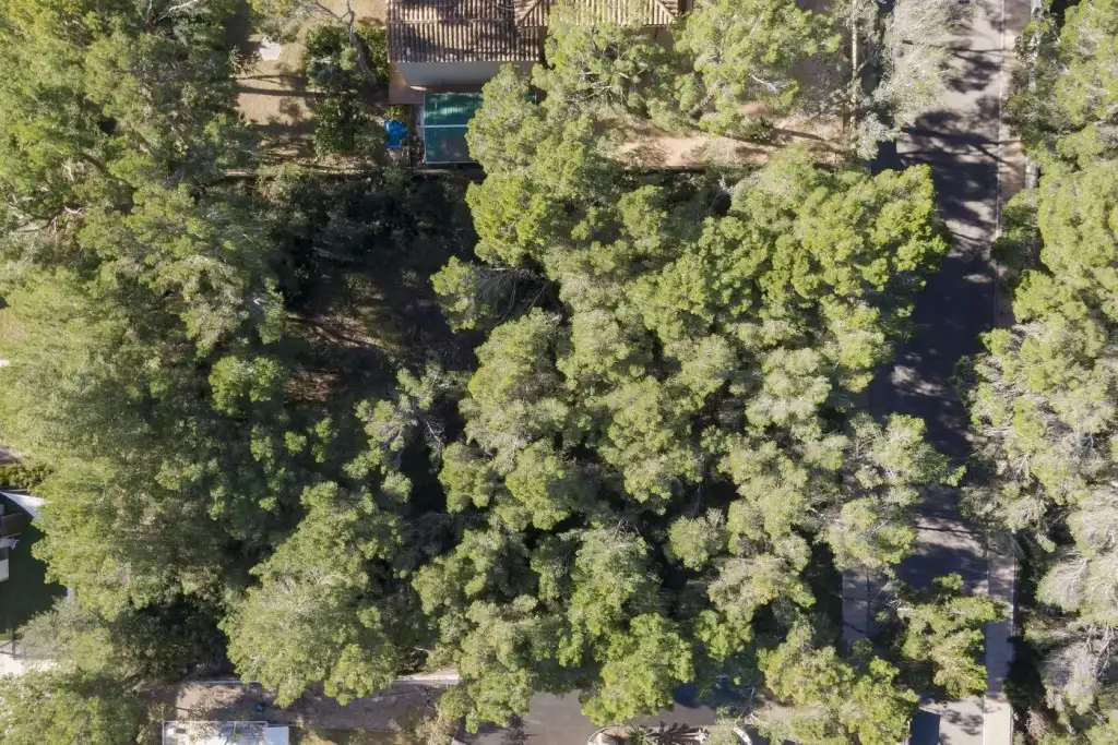 Terreno en venta en Calvià