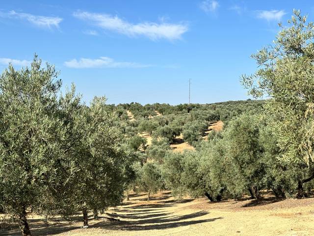 Terreno en Venta en Polígono, 1 en Villanueva del Trabuco