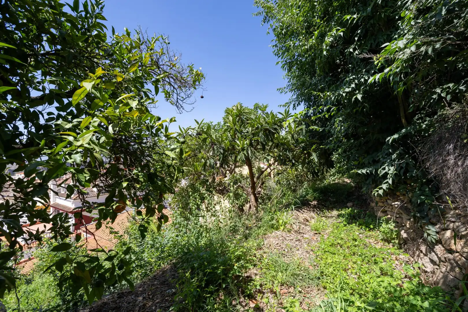 Finca rústica en venta en POLIGO NO 8 PARCELA 460 GRANADA LANJARON, Lanjarón