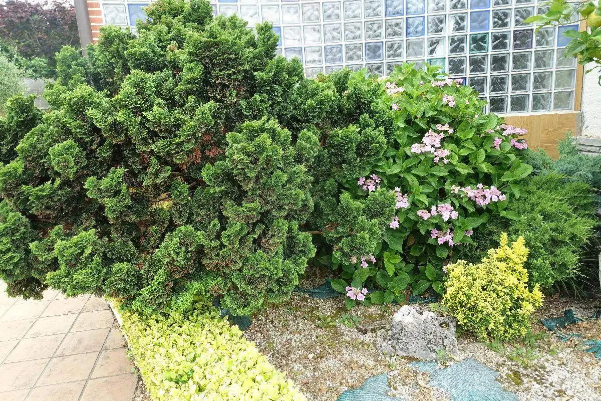 Jardí de Casa o xalet en venda en Mungia amb Calefacció, Jardí privat i Terrassa