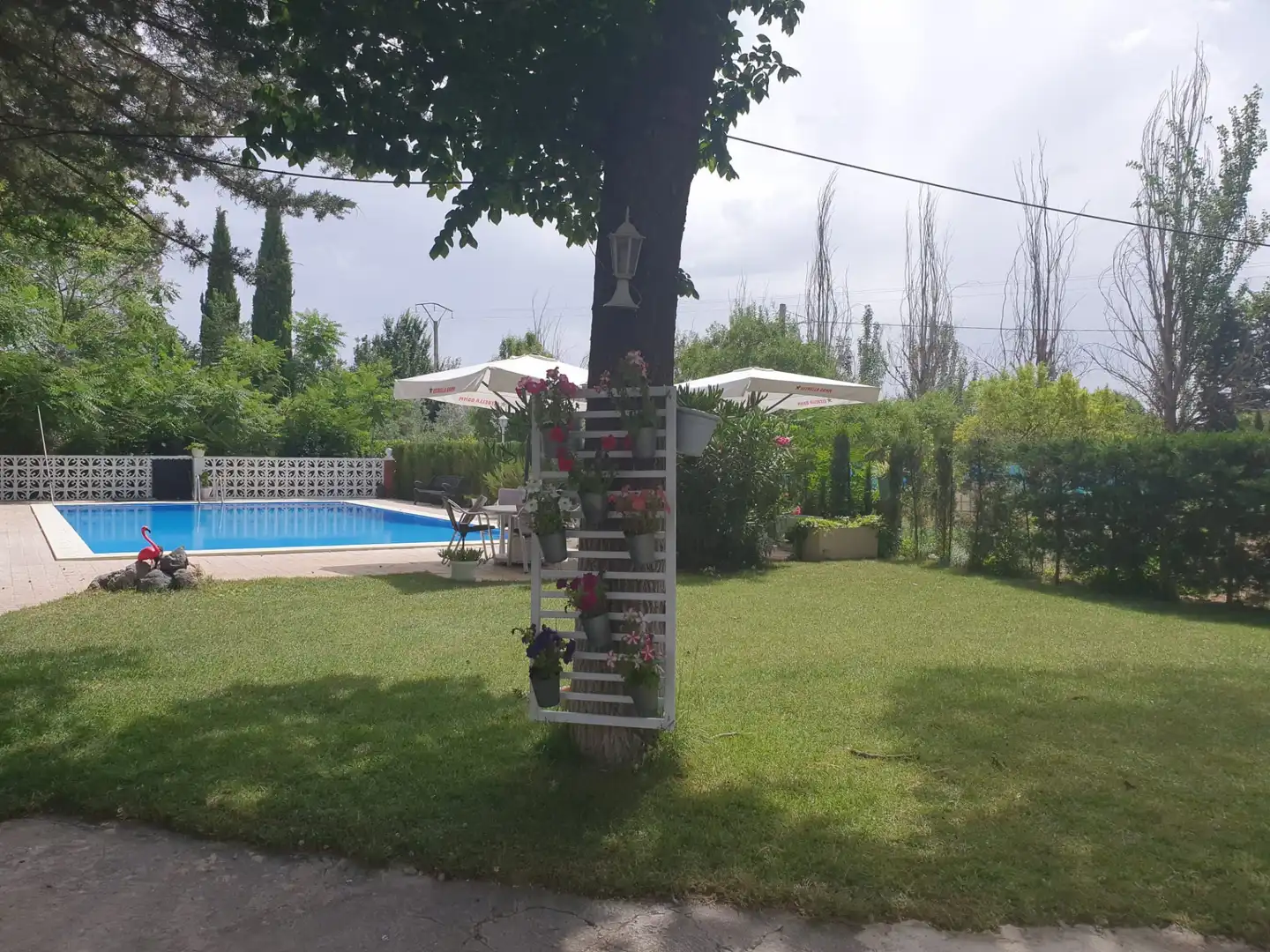 Jardín de Casa o chalet en venta en Argamasilla de Calatrava con Aire acondicionado, Jardín privado y Trastero
