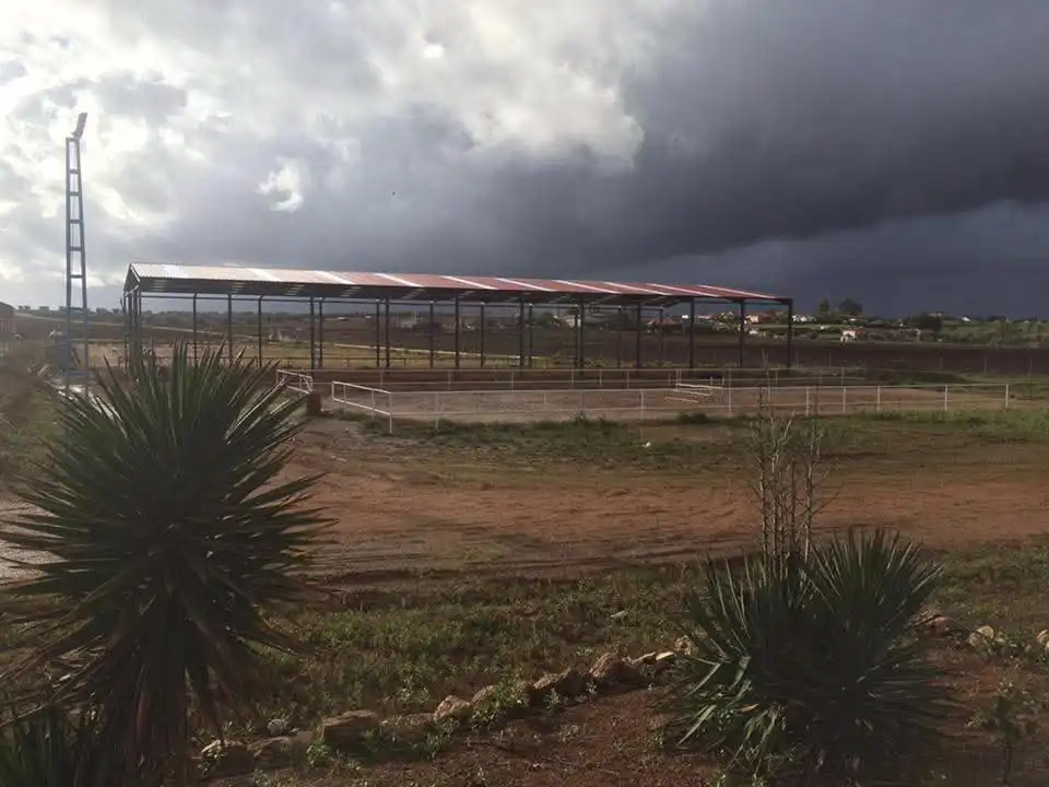 Exterior view of Industrial land for sale in Almendralejo