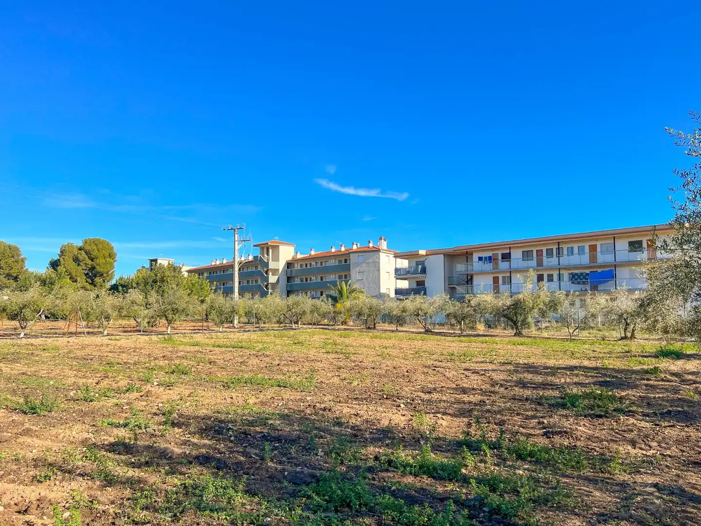 Terreny residencial en venda a POLIGONO 12, imagen 24