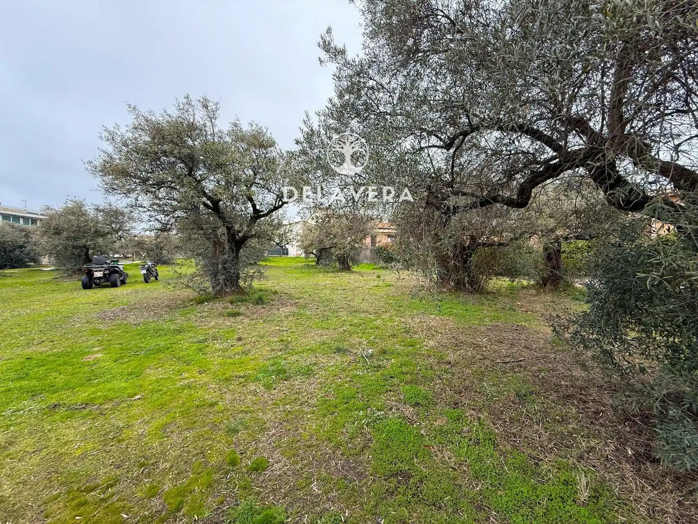 Land for sale in Candeleda