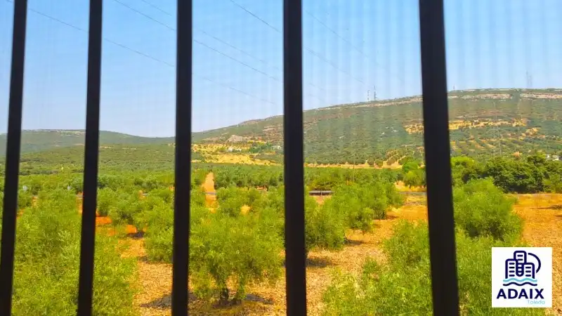Jardín de Residencial en venta en Marjaliza