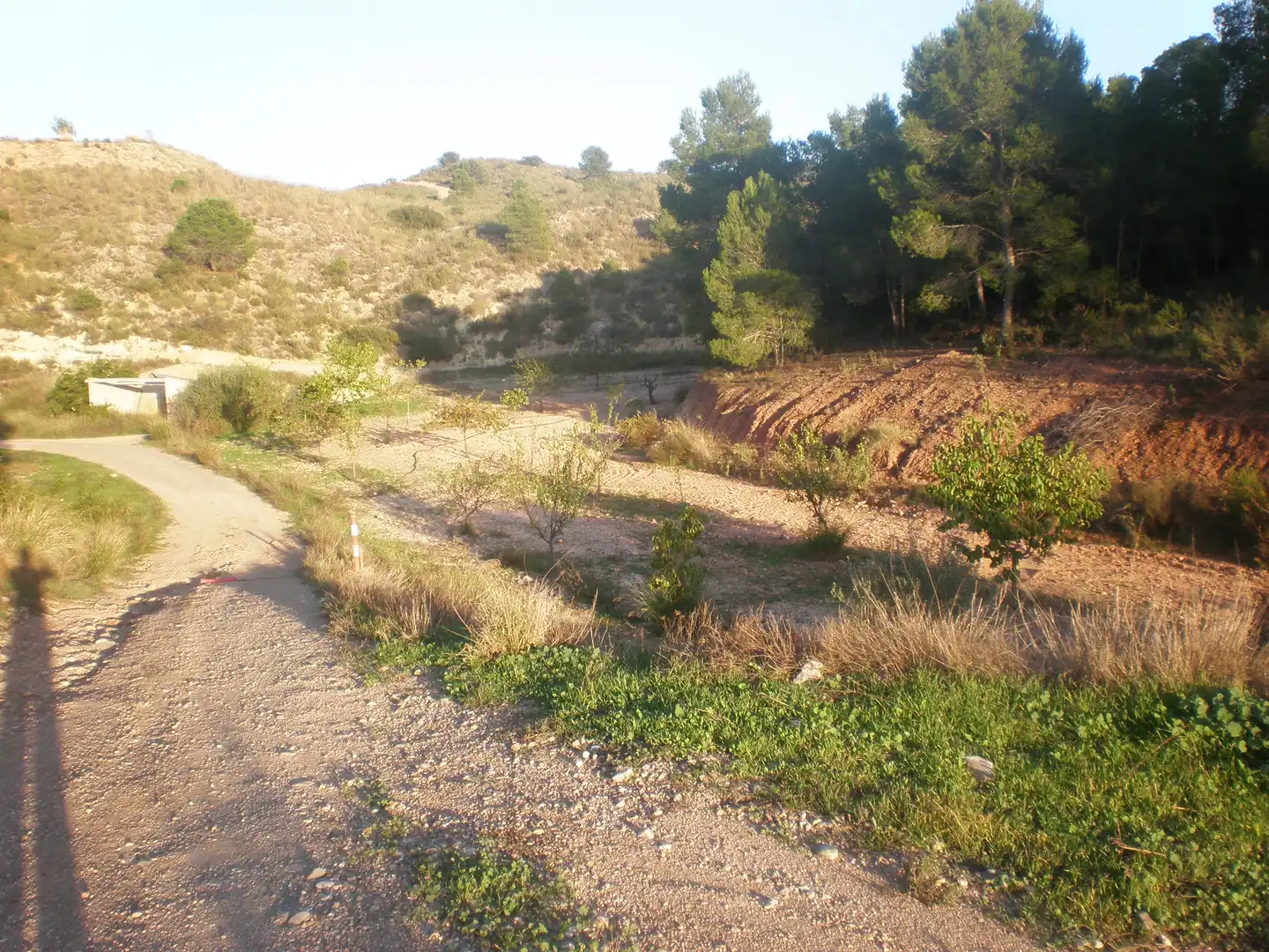 Terreno rustico in vendita a Pedanías Norte, imagen 4