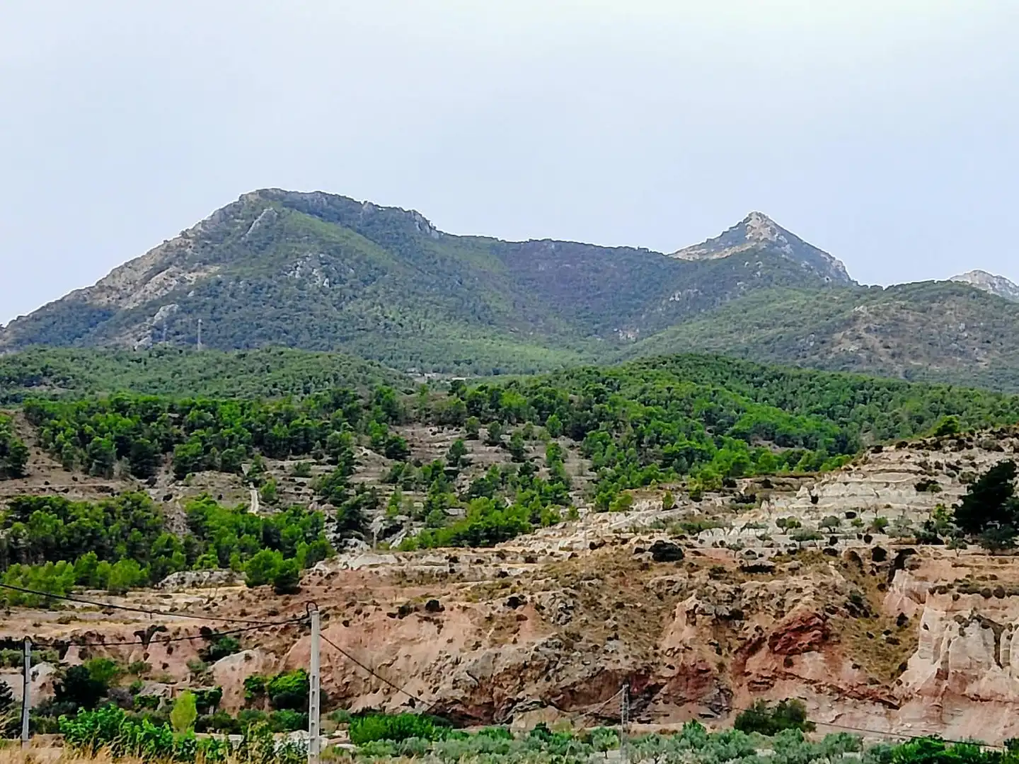 Terreno rustico in vendita a Lugar Castillo, imagen 7