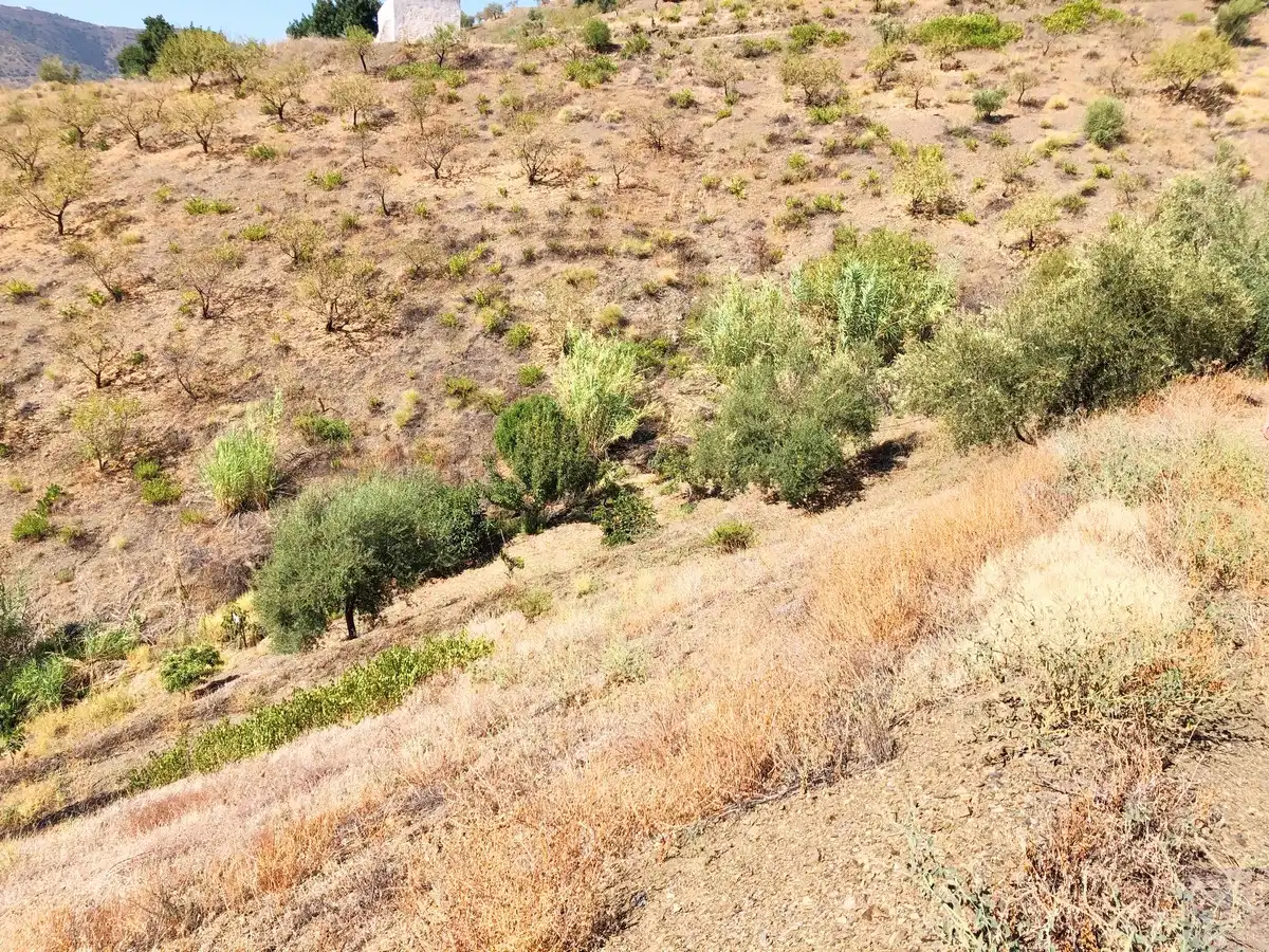 Terrenos y solares en venta en Sedella, imagen 13
