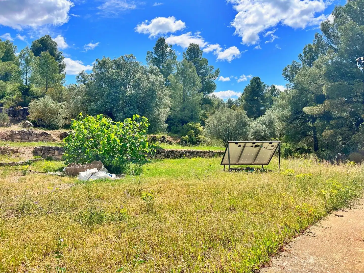 Houses for sale in Flix