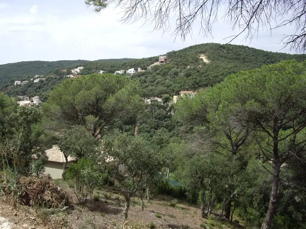 Terrain résidentiel à vendre à Alzina, imagen 2