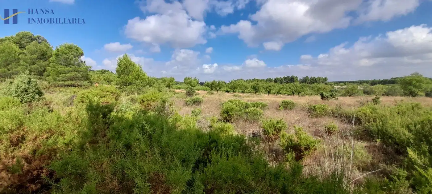 Rustikales Grundstück zum Verkauf in Requena, imagen 7