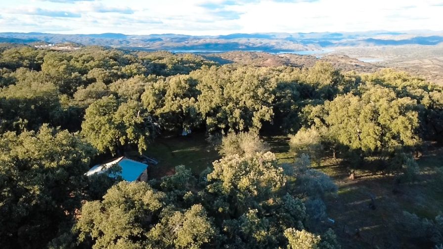 Terreno en venta en Puerto Moral