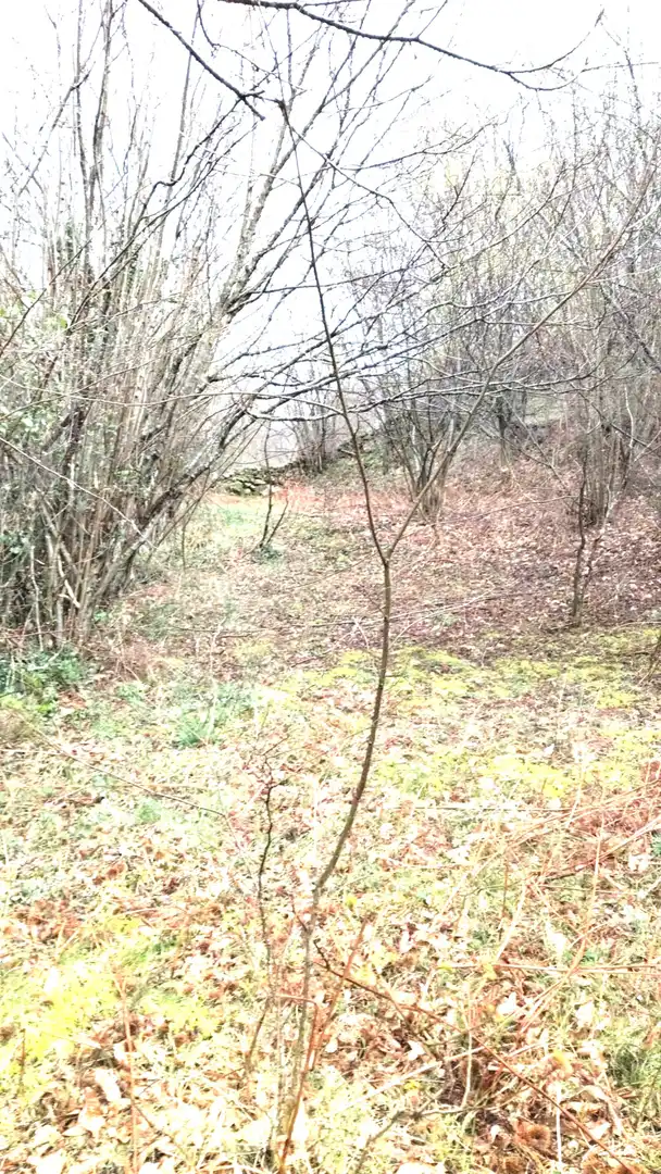 Residential land for sale in Bº LA CABANILLA, imagen 5
