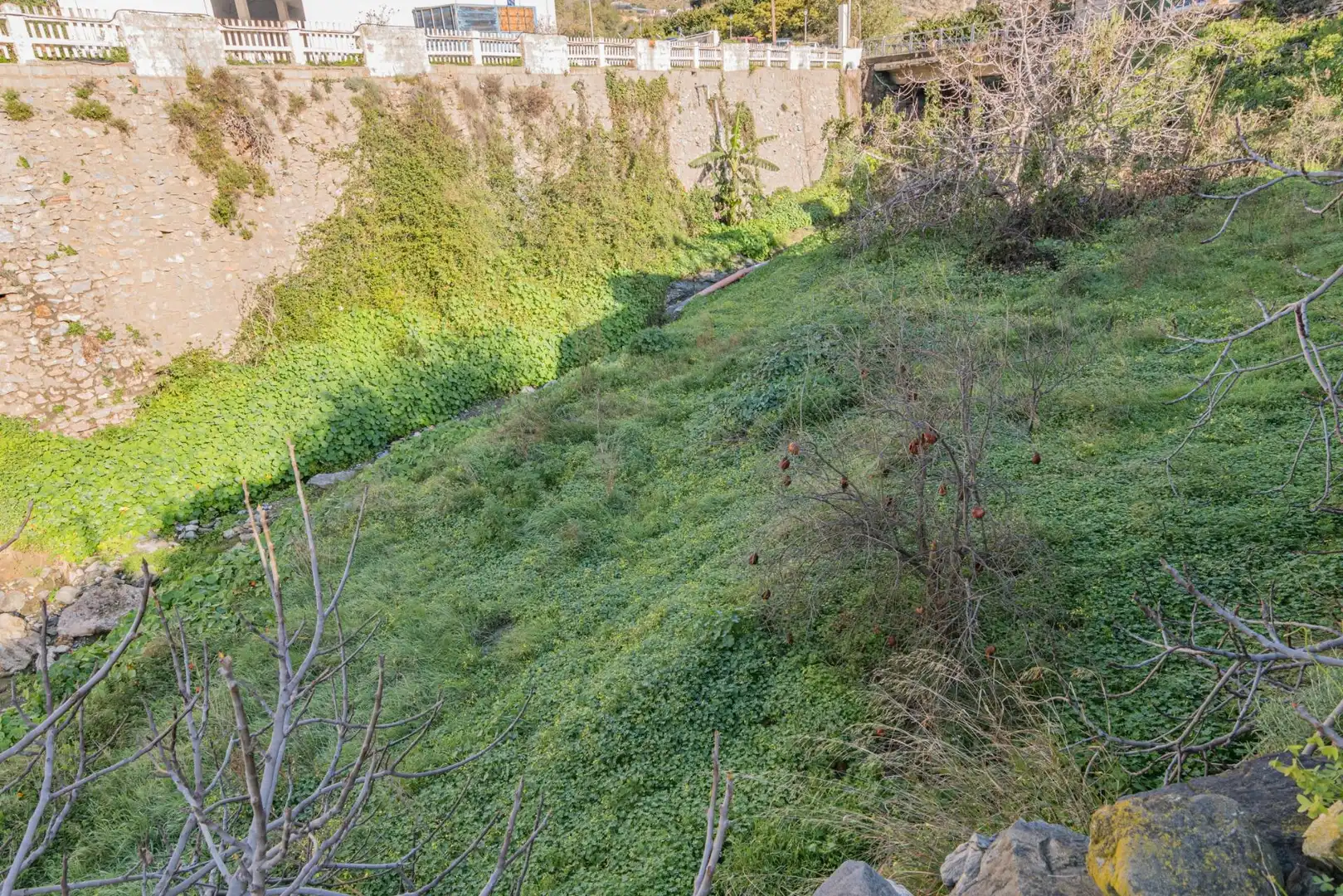 Casa o xalet en venda en Molvízar amb Jardí privat, Terrassa i Traster
