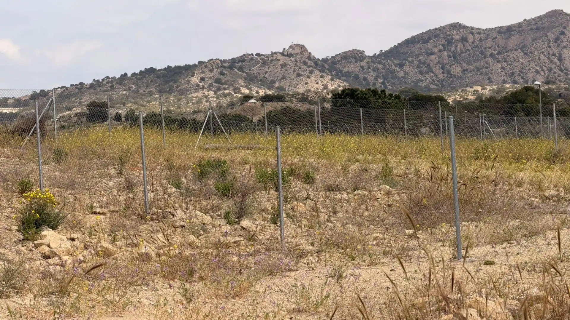 Terreno residencial en venta en Monforte del Cid, imagen 9