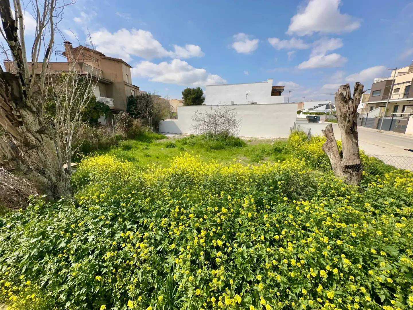 Terreny residencial en venda a Calle Calle Surius, imagen 2