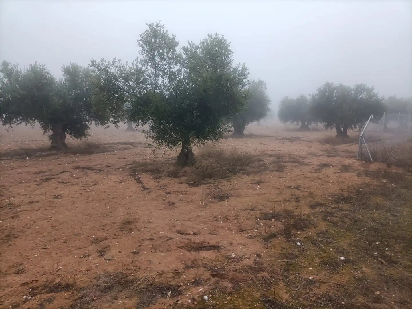 Terreni e lotti in vendita a Villaminaya, imagen 2