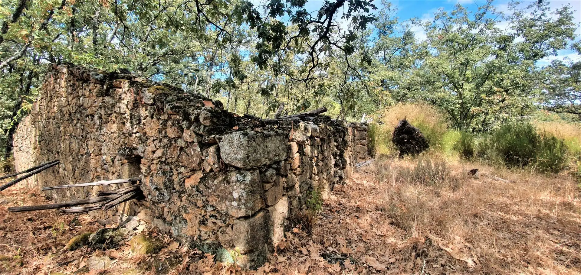 Terreni e lotti in vendita a Jarandilla de la Vera, imagen 11