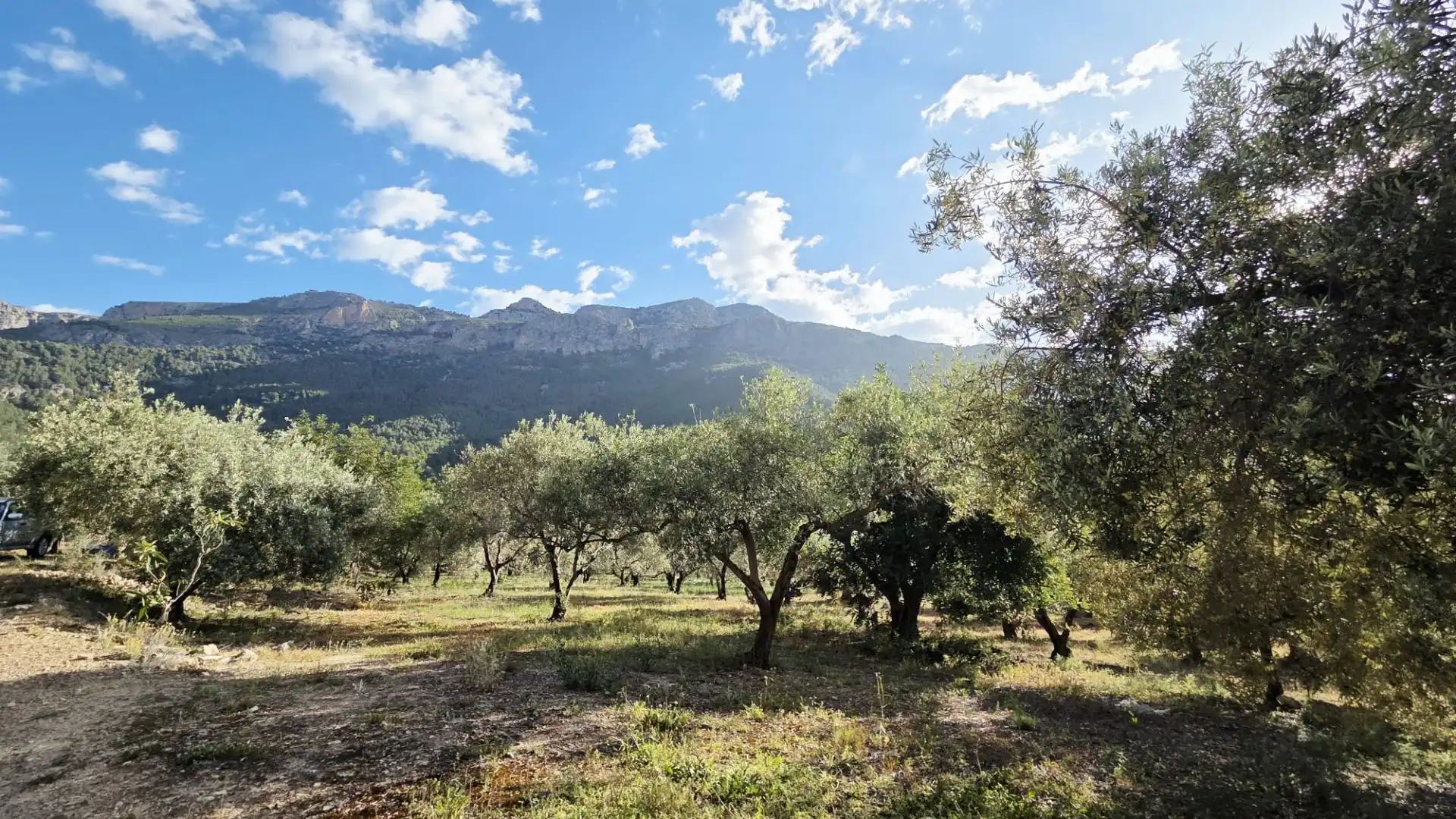 Grundstücke und Bauplätze zum Verkauf in El Castell de Guadalest, imagen 19