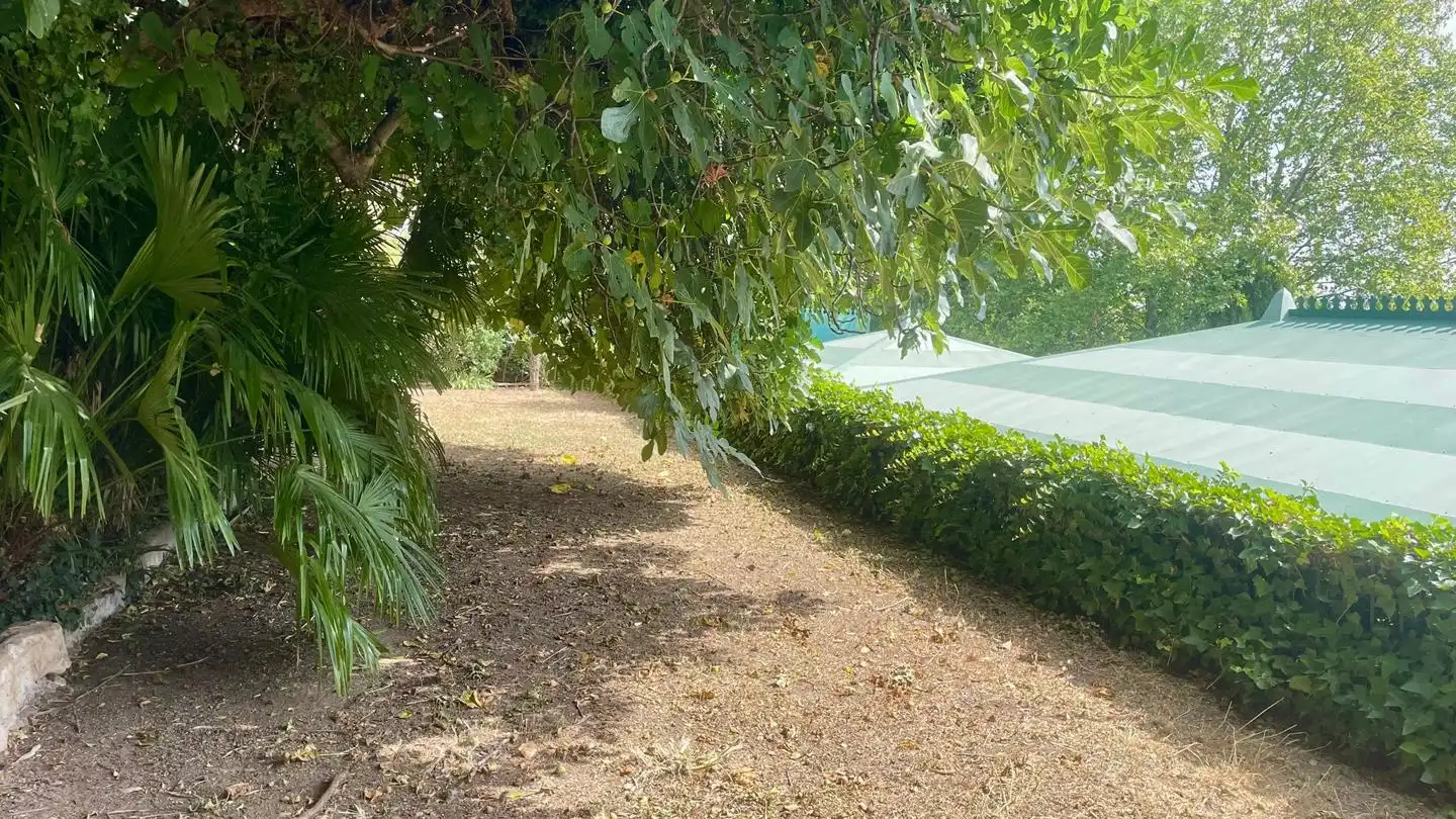 Haus mit Garten zum Verkauf in La Parra, imagen 11