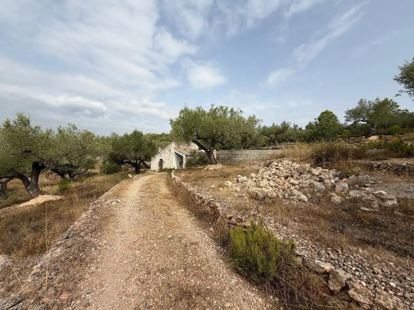 Maison rustique à vendre à L'Ampolla, imagen 9
