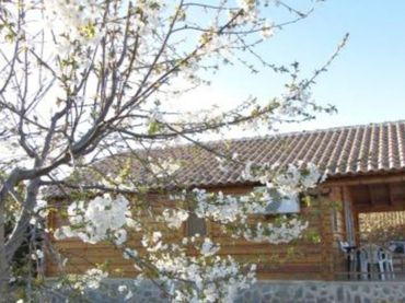 Detached house with garden for sale in Camino FUENTE DEL CAMPO 50