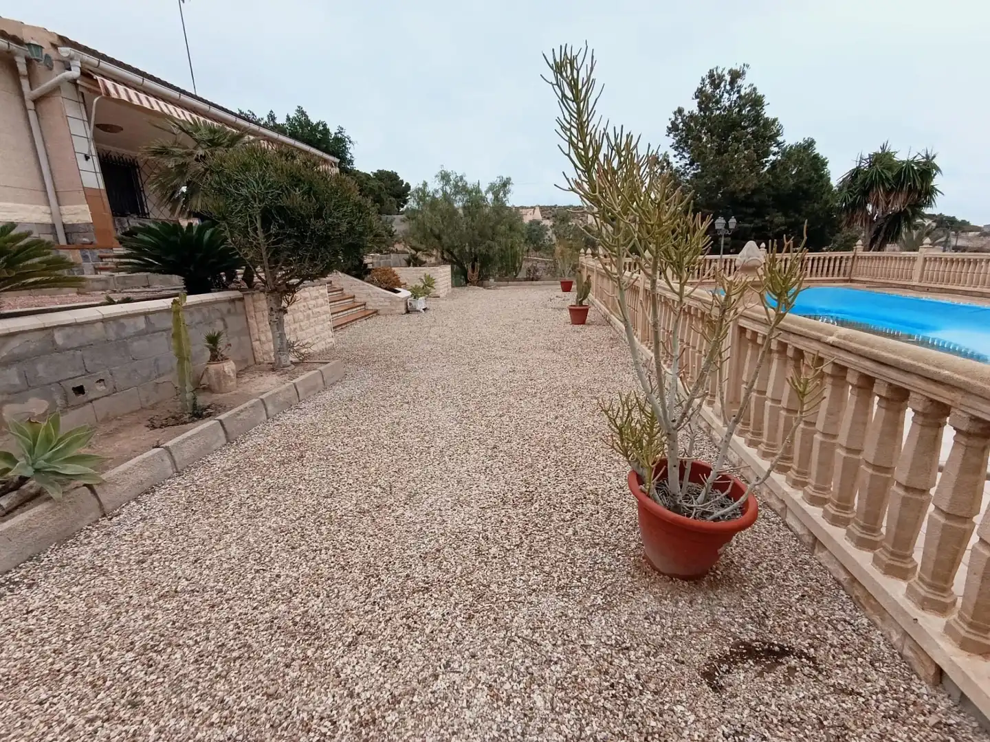 Jardí de Casa o xalet en venda en Elche / Elx amb Jardí privat, Terrassa i Traster
