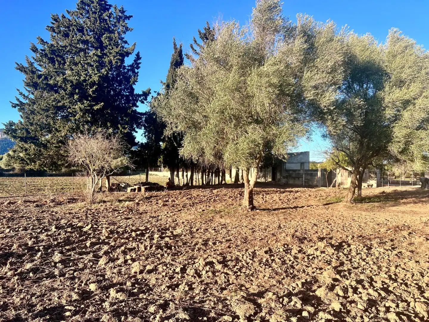 Casa rústica en venta en Campanet, imagen 13
