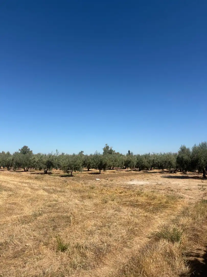 Rural land for sale in Villa de Otura, imagen 8