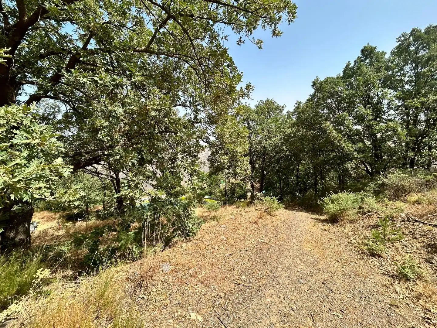 Casa amb jardí en venda a Güéjar Sierra, imagen 36