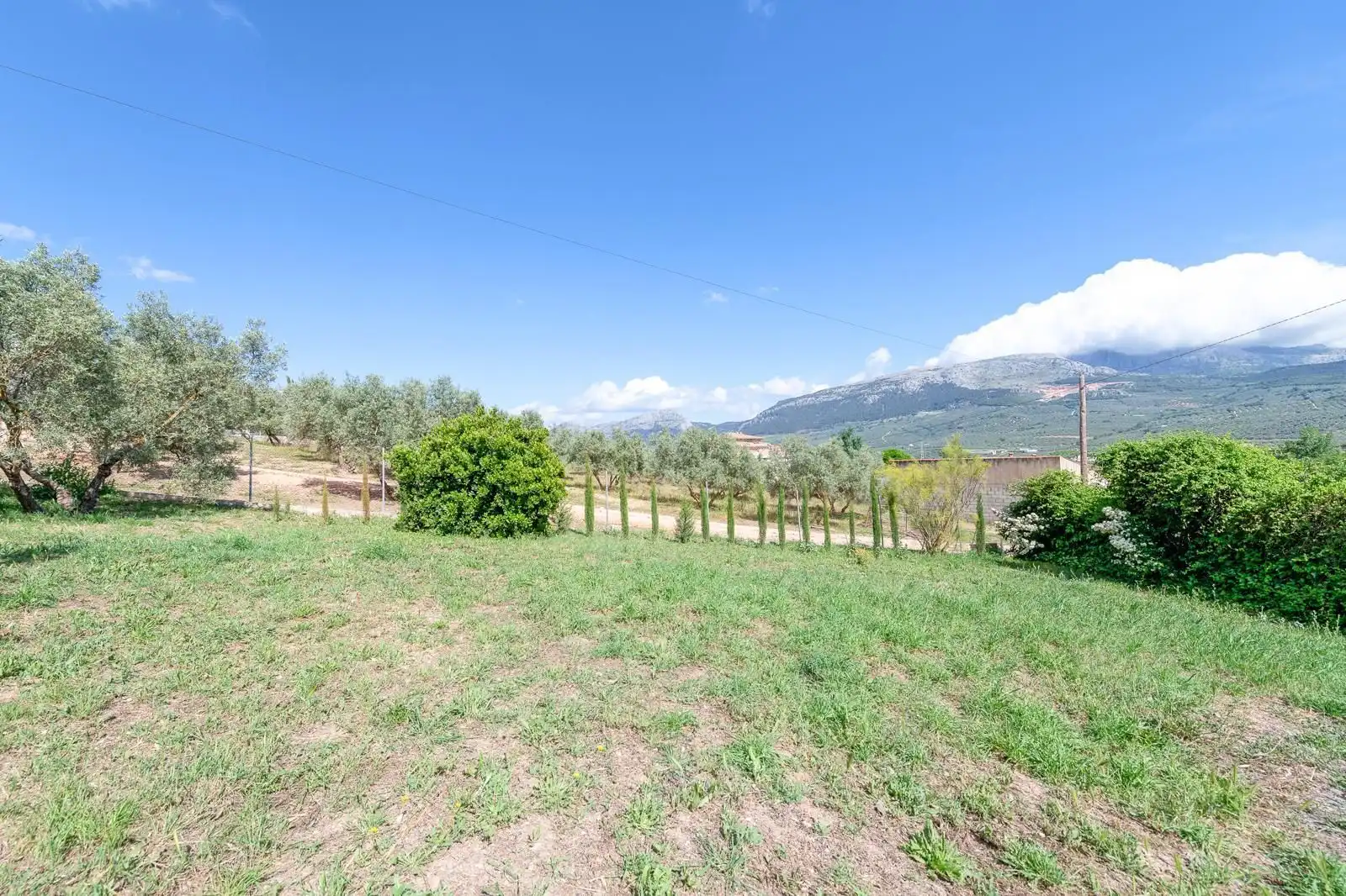 Casa rústica con jardín en venta en Villanueva del Trabuco, imagen 15