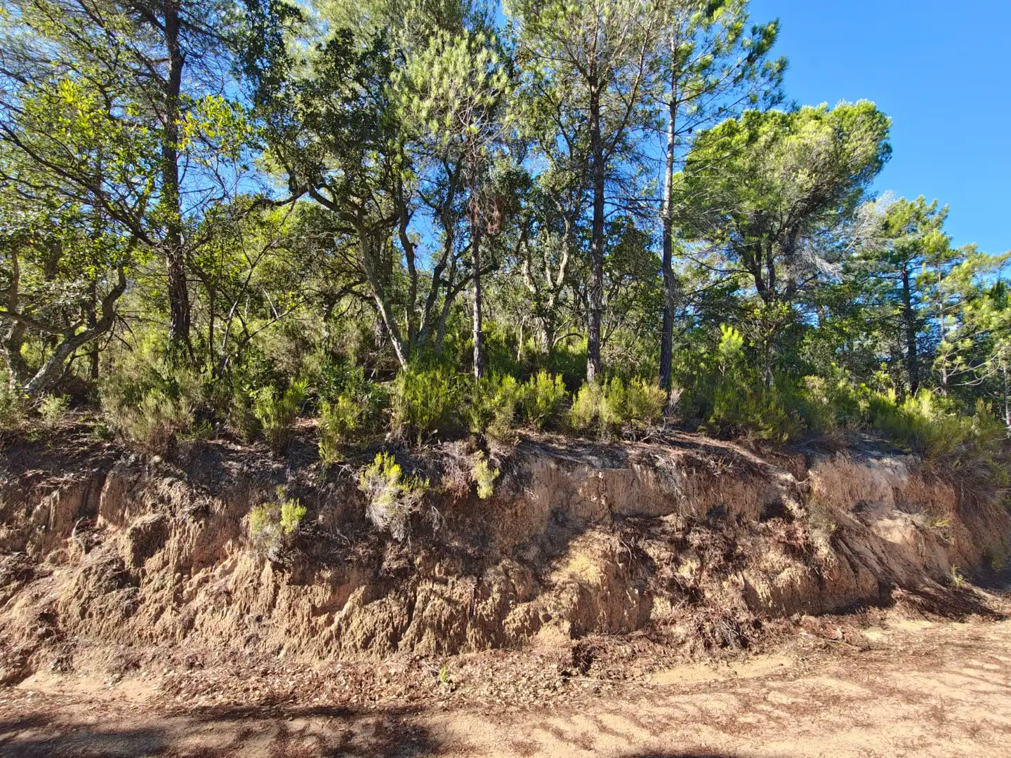 Terreno rustico in vendita a N/A, imagen 2