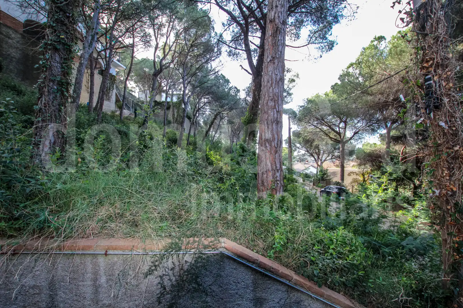 Garden of Residential for sale in Cabrils