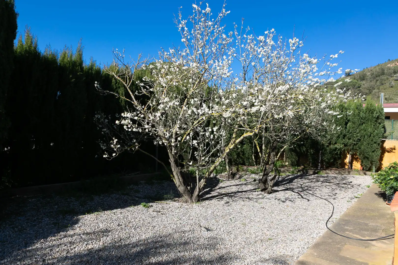 Jardín de Finca rústica en venta en Pals con Calefacción, Jardín privado y Terraza