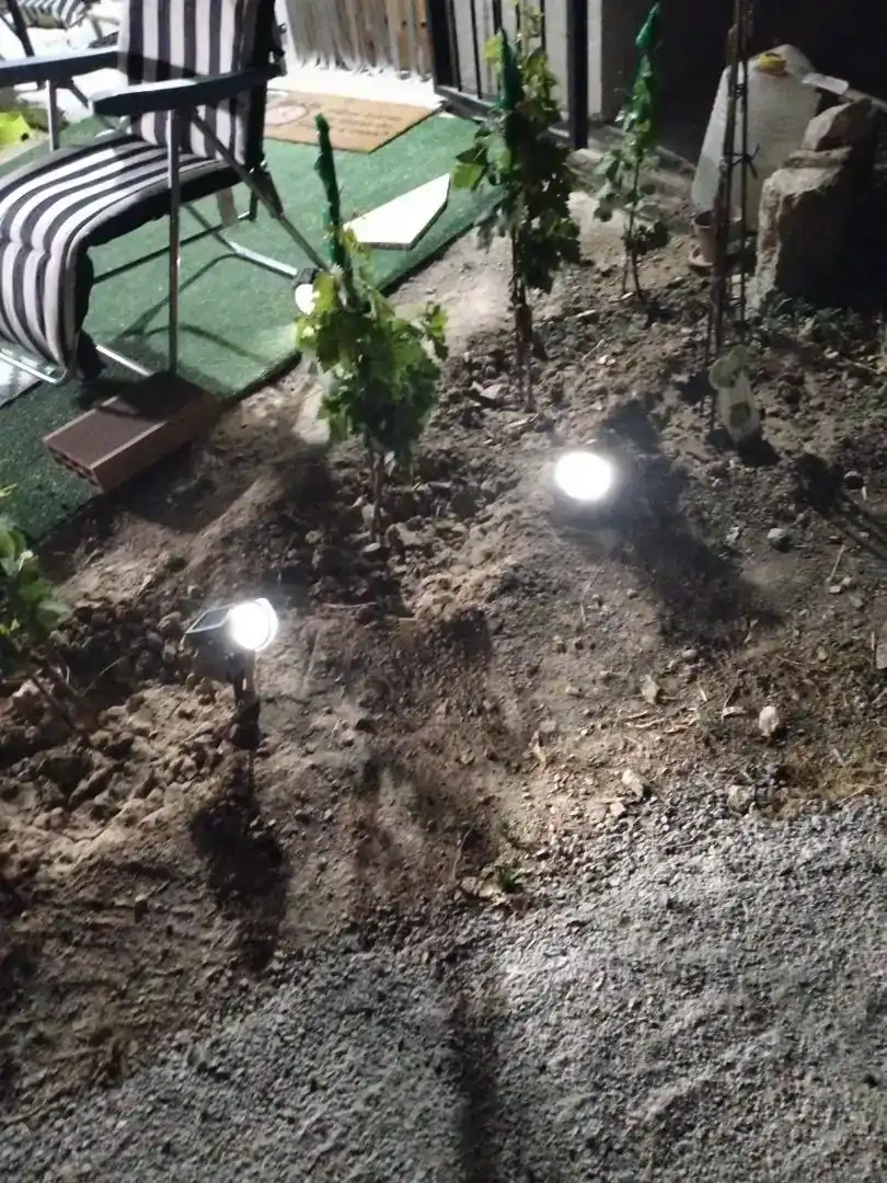 Jardí de Casa o xalet en venda en Íllar amb Aire condicionat