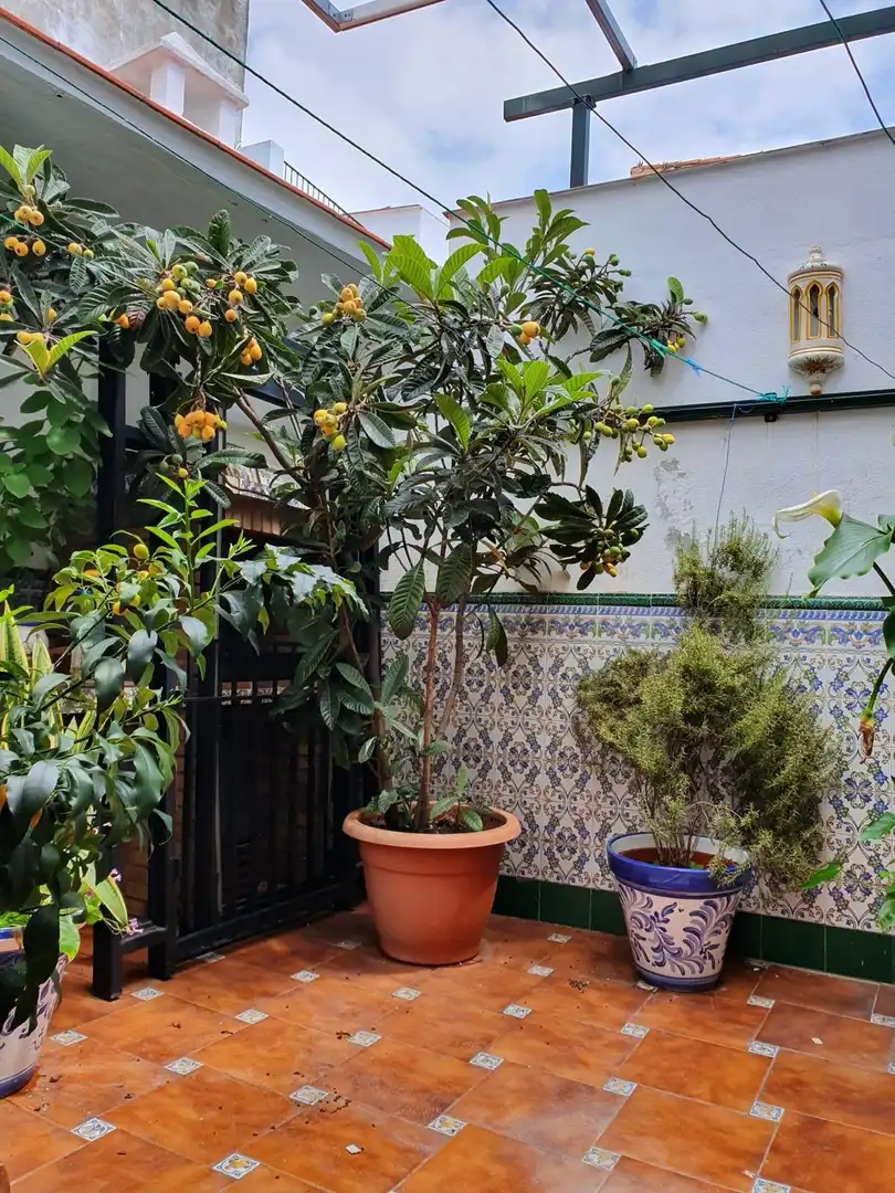 Jardín de Casa adosada en venta en Marbella con Aire acondicionado, Jardín privado y Terraza