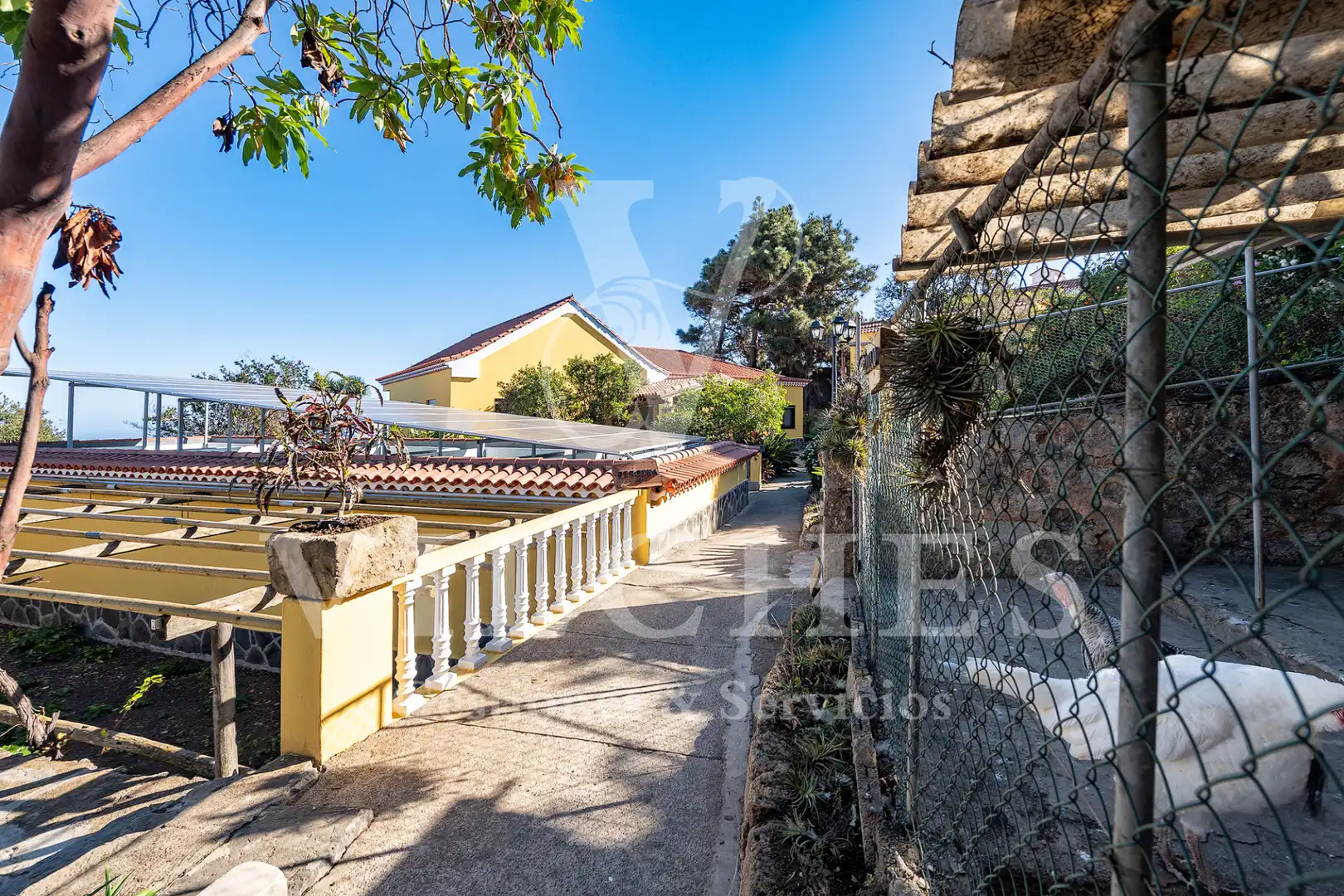 Vista exterior de Casa o xalet en venda en Santa Brígida amb Jardí privat, Terrassa i Traster